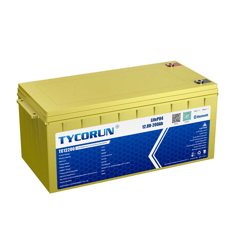 Tycorun 500 Watt 110V 220V Lithium Ion Battery for Solar Power