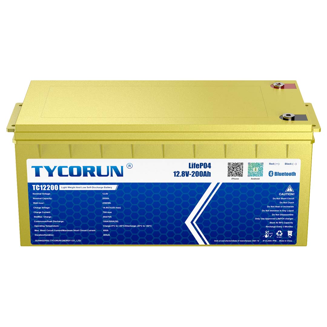 File:Lithium iron phosphate battery, 12 V, 48 Wh, 240 A.jpg - Wikipedia