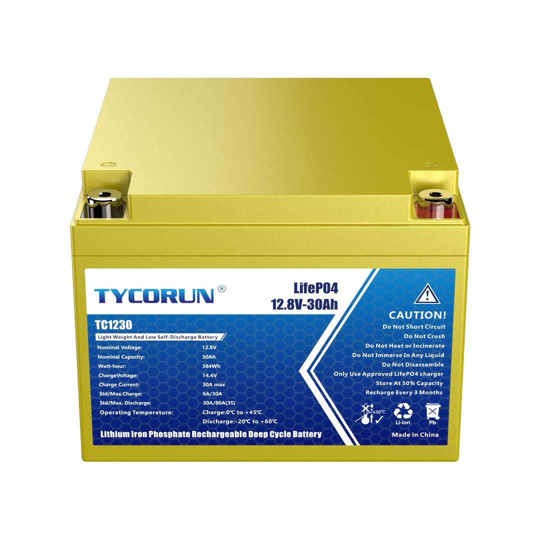 Tycorun 500 Watt 110V 220V Lithium Ion Battery for Solar Power